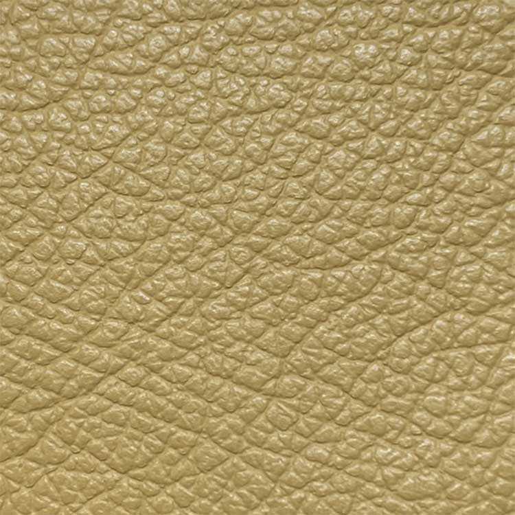 Palomino